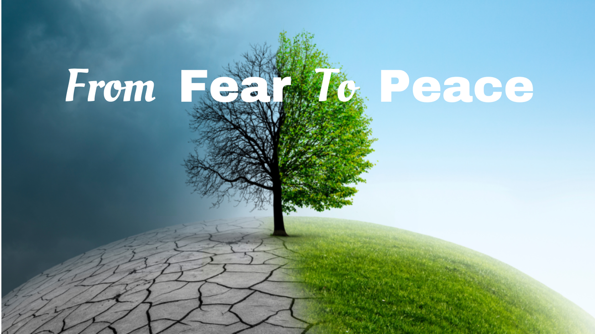 Make Peace with Fear—or Stay Poor